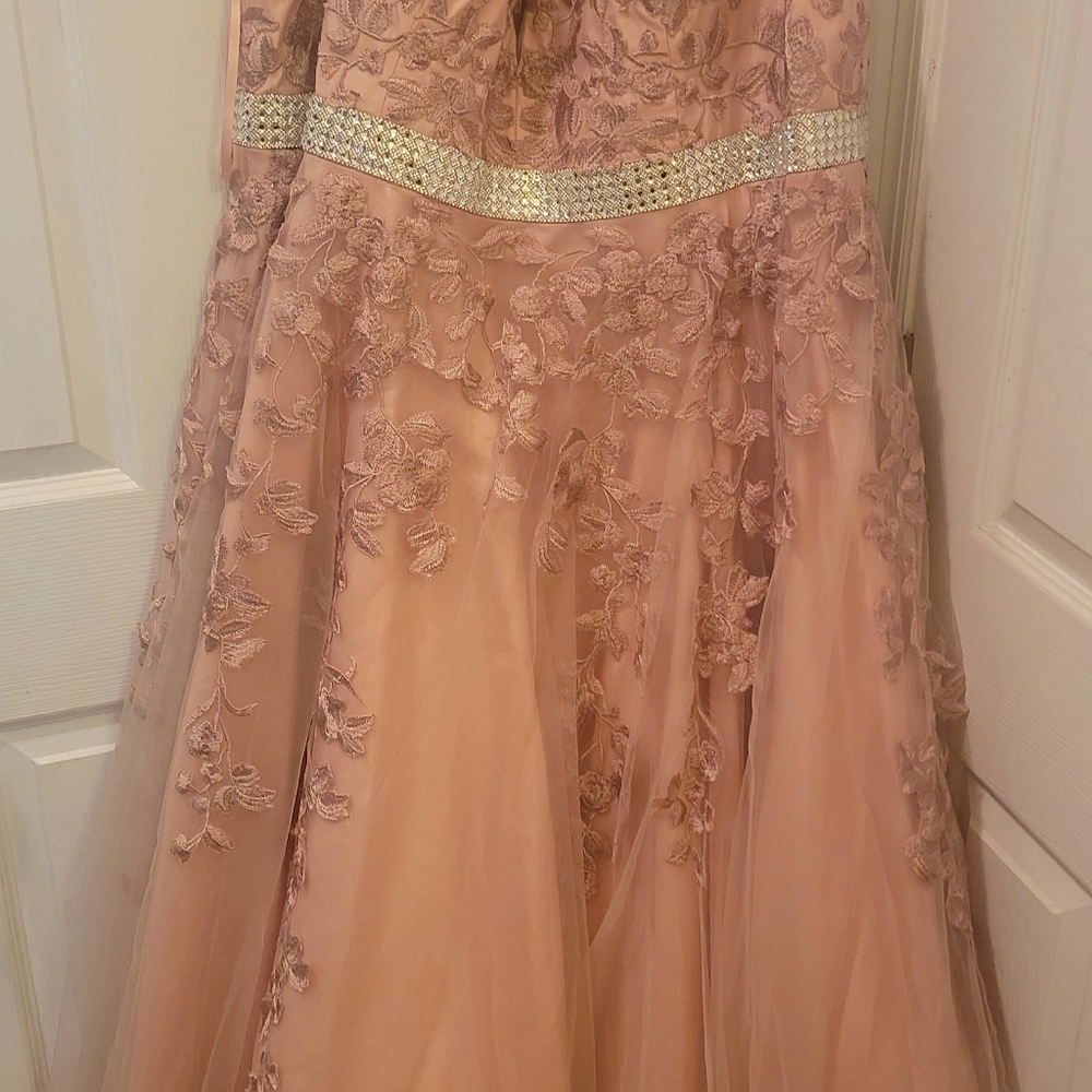 Tease Prom Ball Gown Size 20